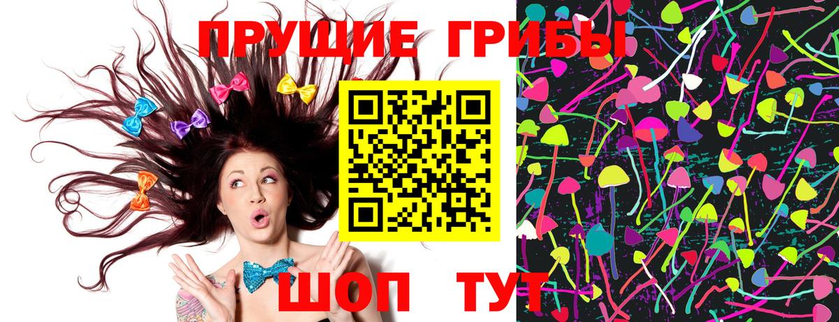 Железногорск  Галлюциногенные грибы Psilocybe  Вход с VPN 